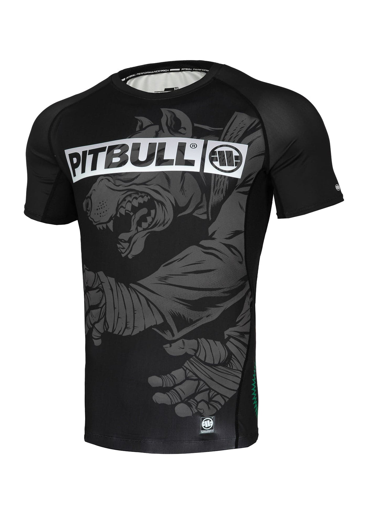 MASTERS OF BJJ HILLTOP Black Rash Guard